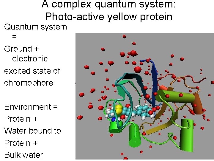 A complex quantum system: Photo-active yellow protein Quantum system = Ground + electronic excited