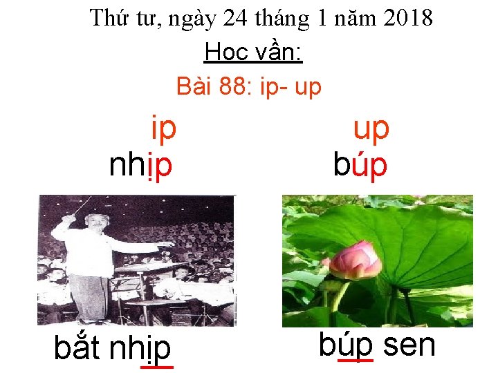 Thứ tư, ngày 24 tháng 1 năm 2018 Học vần: Bài 88: ip up