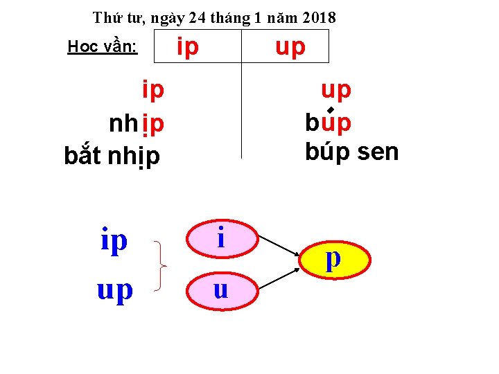Thứ tư, ngày 24 tháng 1 năm 2018 Học vần: ip up ip nh