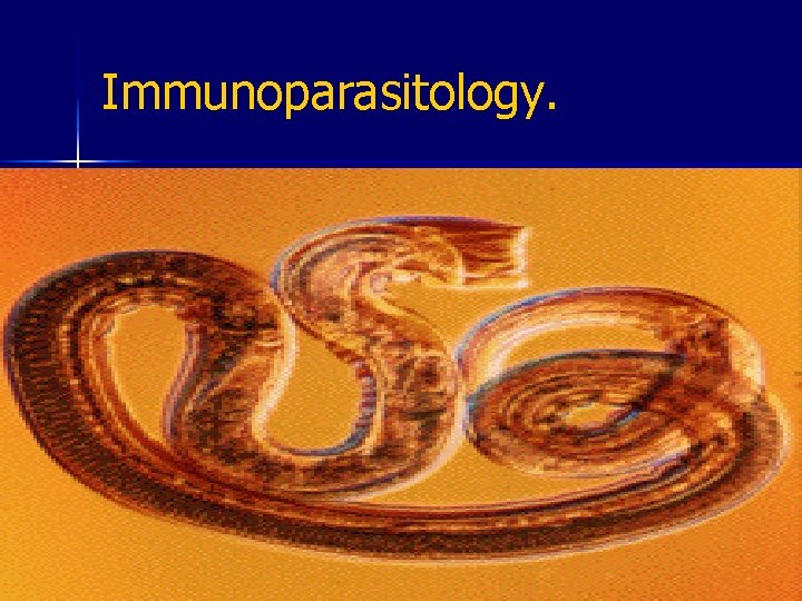 Immunoparasitology. n Spontaneous-cure - parasite establishes but eventually expelled, e. g. , Nippostrongylus brasiliensis.