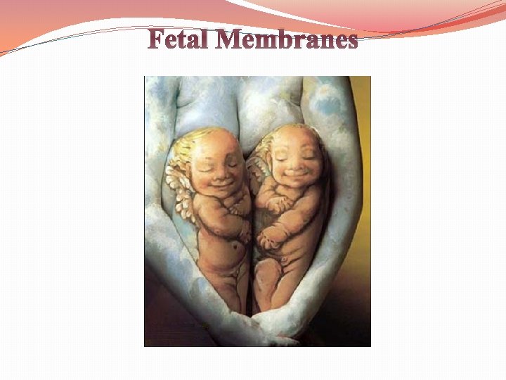 Fetal Membranes 