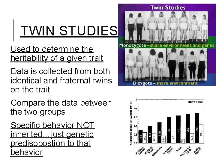 TWIN STUDIES Used to determine the heritability of a given trait Data is collected TWIN STUDIES Used to determine the heritability of a given trait Data is collected