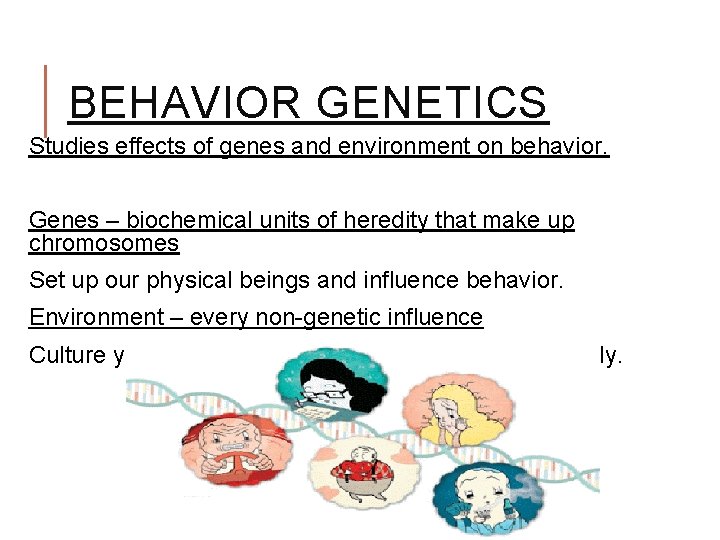 BEHAVIOR GENETICS Studies effects of genes and environment on behavior. Genes – biochemical units BEHAVIOR GENETICS Studies effects of genes and environment on behavior. Genes – biochemical units