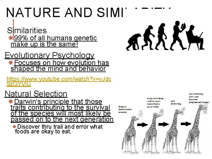 NATURE AND SIMILARITY Similarities 99% of all humans genetic make up is the same! NATURE AND SIMILARITY Similarities 99% of all humans genetic make up is the same!