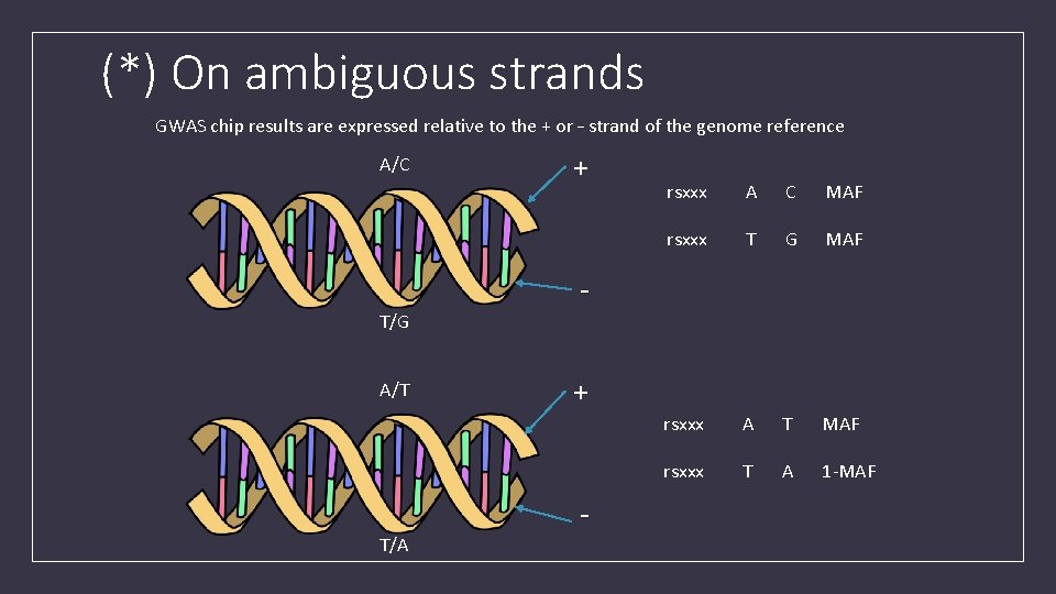 (*) On ambiguous strands GWAS chip results are expressed relative to the + or