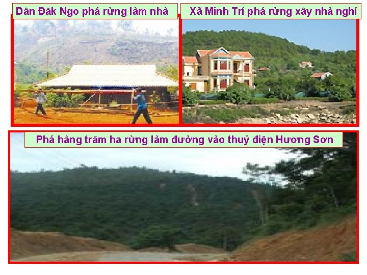 Dân Đăk Ngo phá rừng làm nhà Xã Minh Trí phá rừng xây nhà