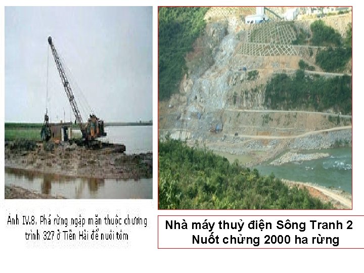 Nhà máy thuỷ điện Sông Tranh 2 Nuốt chửng 2000 ha rừng 