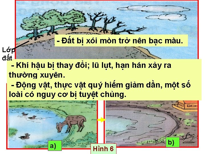 - Đất bị xói mòn trở nên bạc màu. Lớp đất - Khí hậu