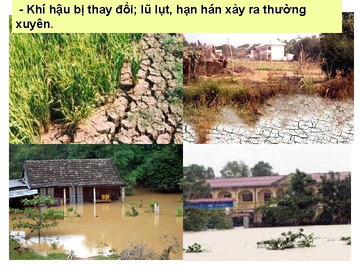 - Khí hậu bị thay đổi; lũ lụt, hạn hán xảy ra thường xuyên.