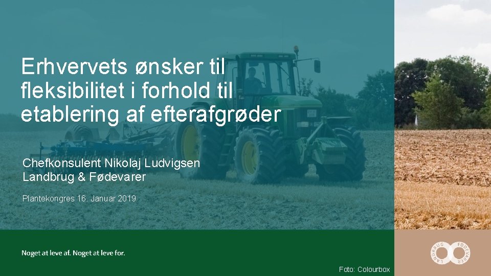 Erhvervets ønsker til fleksibilitet i forhold til etablering af efterafgrøder Chefkonsulent Nikolaj Ludvigsen Landbrug