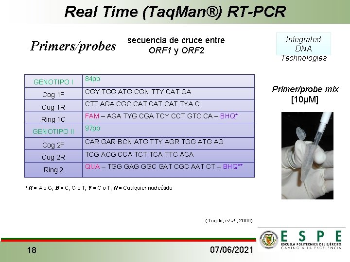 Real Time (Taq. Man®) RT-PCR Primers/probes GENOTIPO I Primer/probe mix [10µM] CGY TGG ATG