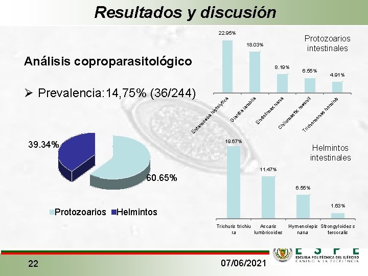 Resultados y discusión 22. 95% Protozoarios intestinales 18. 03% 8. 19% in is m