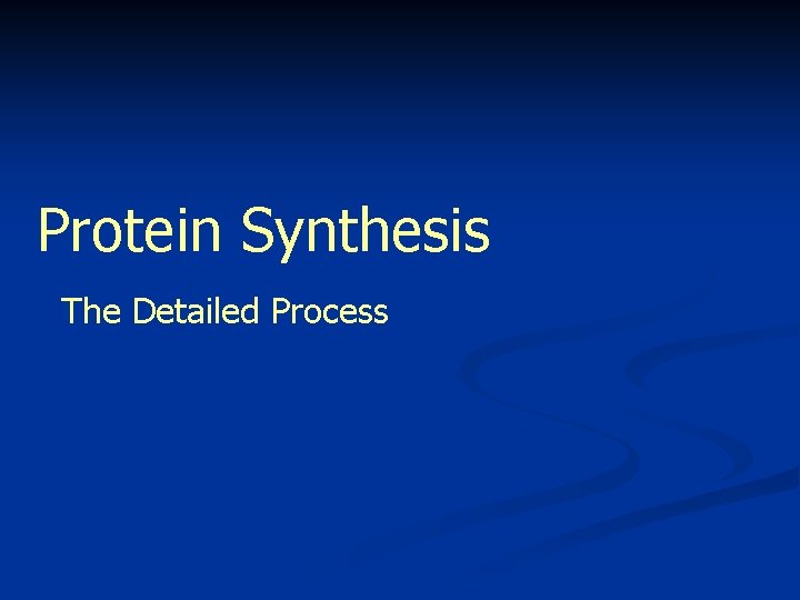 Protein Synthesis The Detailed Process 