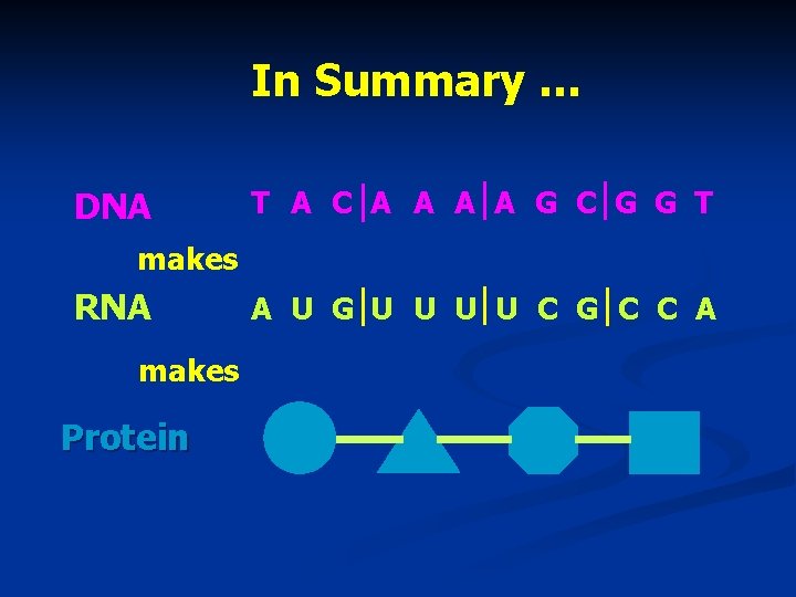 In Summary … DNA T A C A A G C G G T