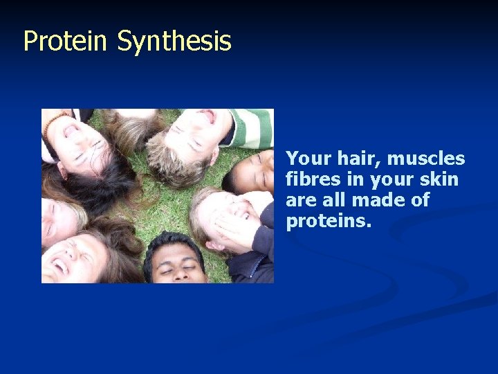 Protein Synthesis Your hair, muscles fibres in your skin are all made of proteins.