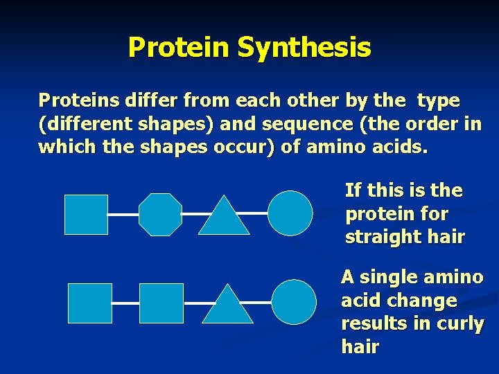 Protein Synthesis Proteins differ from each other by the type (different shapes) and sequence