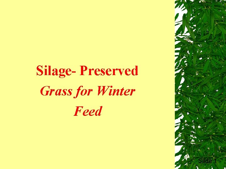 Silage- Preserved Grass for Winter Feed Slide 1 