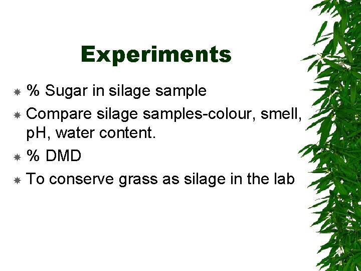 Experiments % Sugar in silage sample Compare silage samples-colour, smell, p. H, water content.