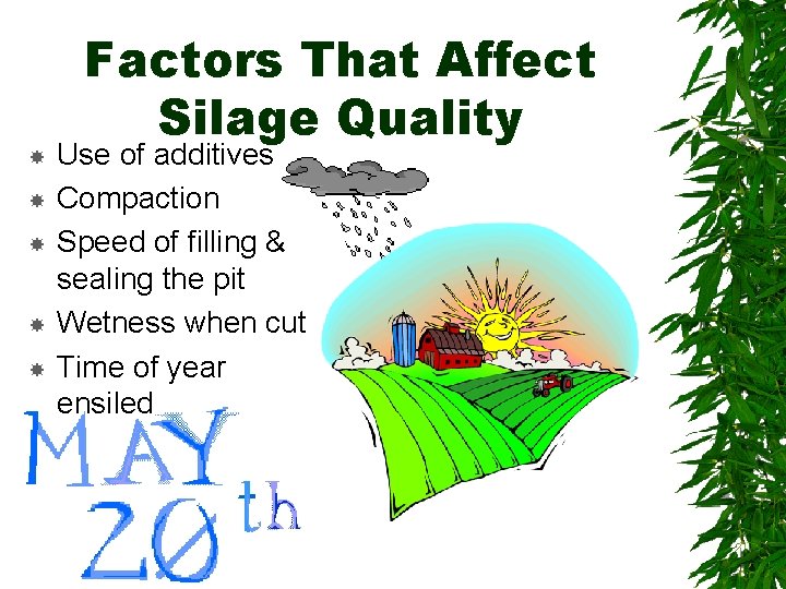  Factors That Affect Silage Quality Use of additives Compaction Speed of filling &