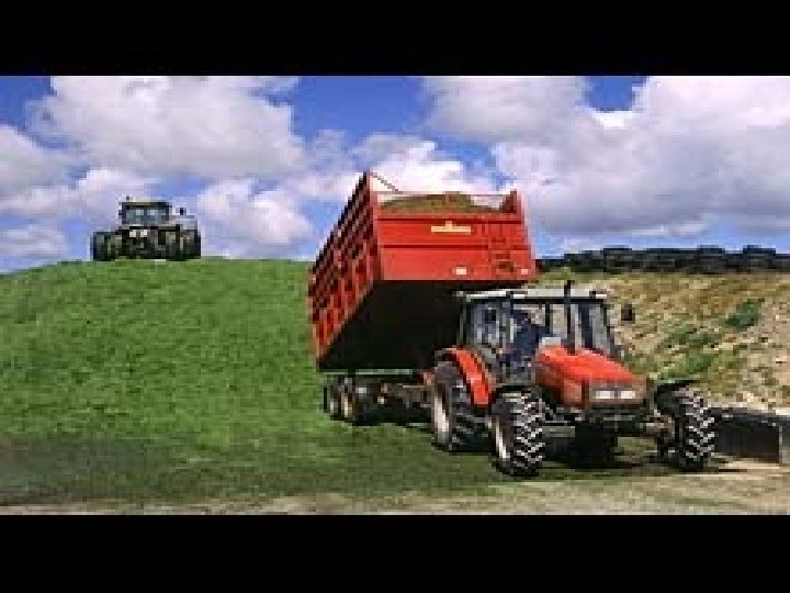 Veronica Walsh, Coláiste Treasa 