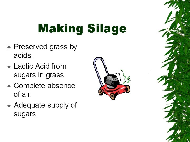 Making Silage Preserved grass by acids. Lactic Acid from sugars in grass Complete absence