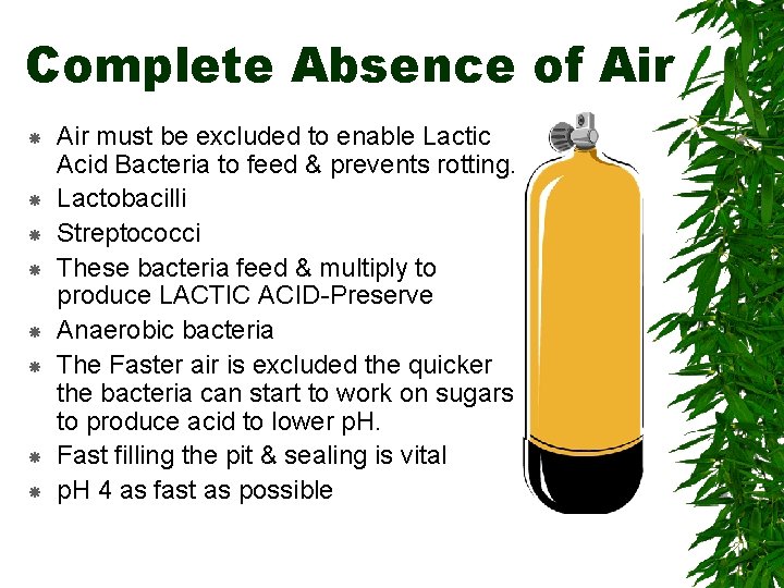 Complete Absence of Air Air must be excluded to enable Lactic Acid Bacteria to