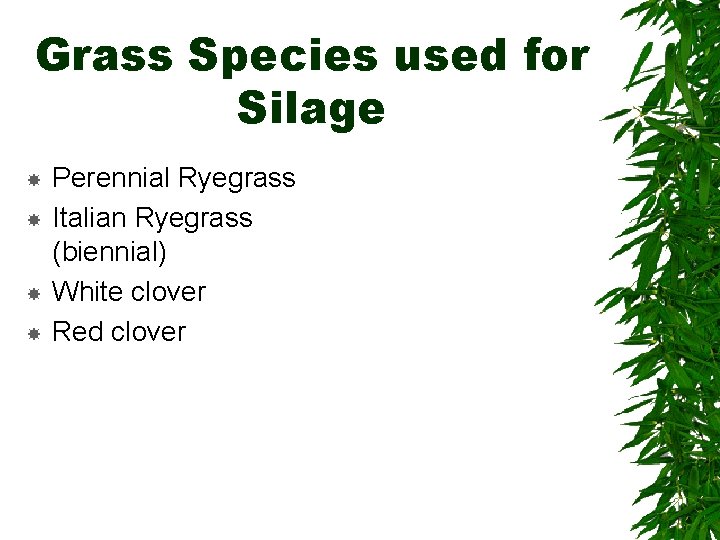 Grass Species used for Silage Perennial Ryegrass Italian Ryegrass (biennial) White clover Red clover