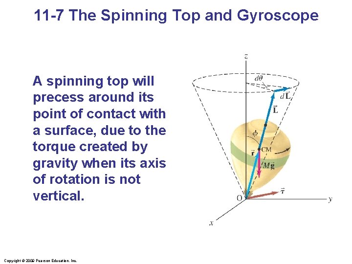 11 -7 The Spinning Top and Gyroscope A spinning top will precess around its