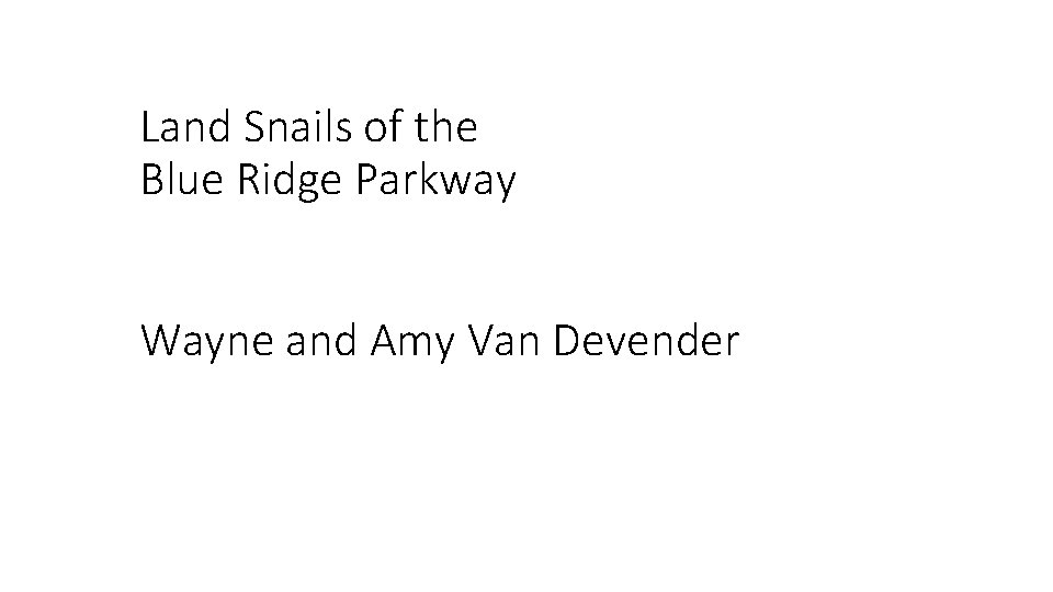 Land Snails of the Blue Ridge Parkway Wayne and Amy Van Devender 
