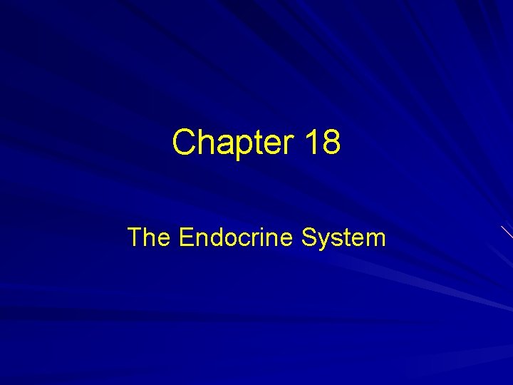 Chapter 18 The Endocrine System 