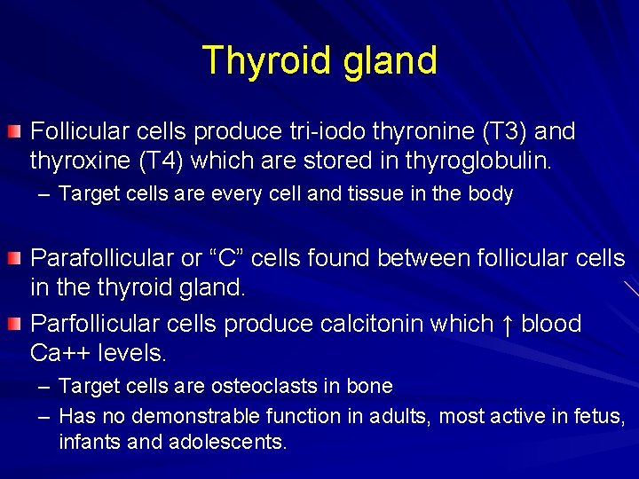 Thyroid gland Follicular cells produce tri-iodo thyronine (T 3) and thyroxine (T 4) which