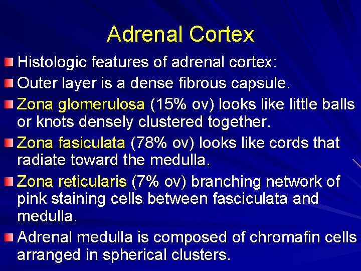 Adrenal Cortex Histologic features of adrenal cortex: Outer layer is a dense fibrous capsule.