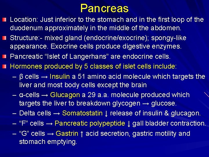 Pancreas Location: Just inferior to the stomach and in the first loop of the