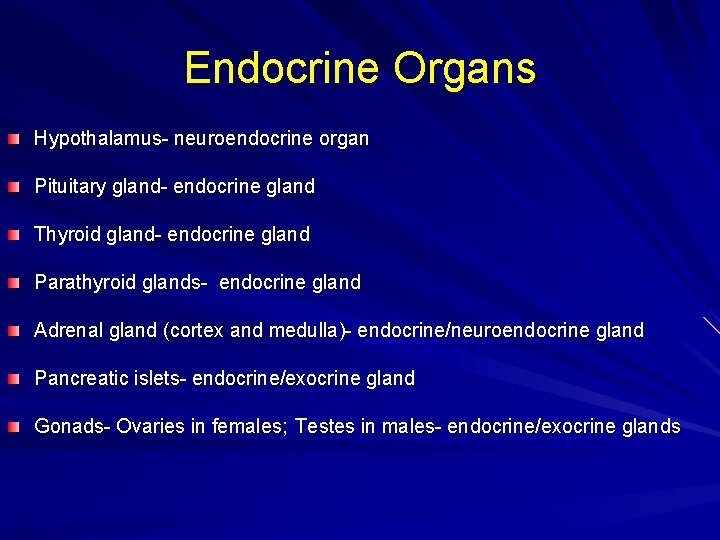 Endocrine Organs Hypothalamus- neuroendocrine organ Pituitary gland- endocrine gland Thyroid gland- endocrine gland Parathyroid