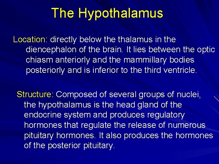 The Hypothalamus Location: directly below the thalamus in the diencephalon of the brain. It