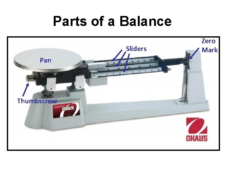 Parts of a Balance Sliders Pan Thumbscrew Zero Mark 