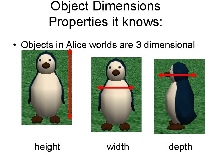 Object Dimensions Properties it knows: • Objects in Alice worlds are 3 dimensional height