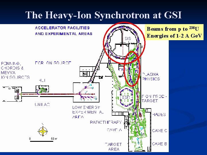 The Heavy-Ion Synchrotron at GSI Beams from p to 238 U Energies of 1