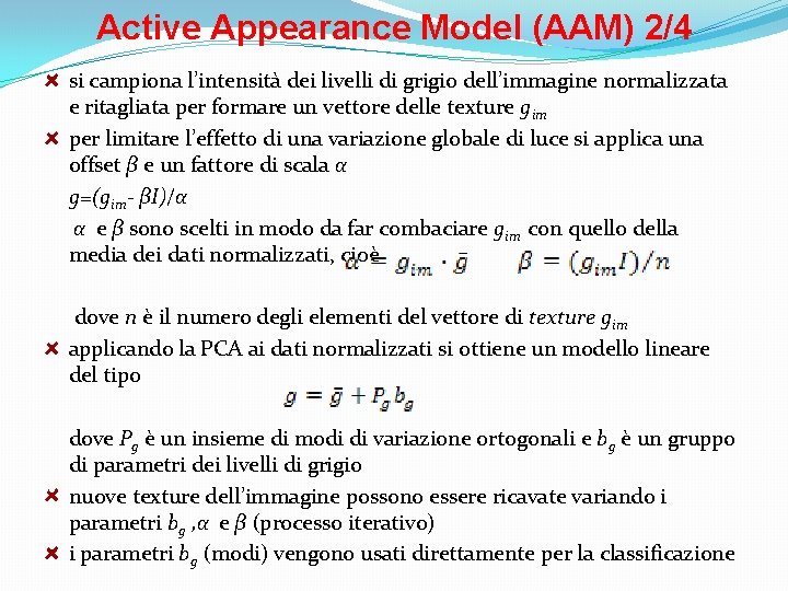 Active Appearance Model (AAM) 2/4 si campiona l’intensità dei livelli di grigio dell’immagine normalizzata