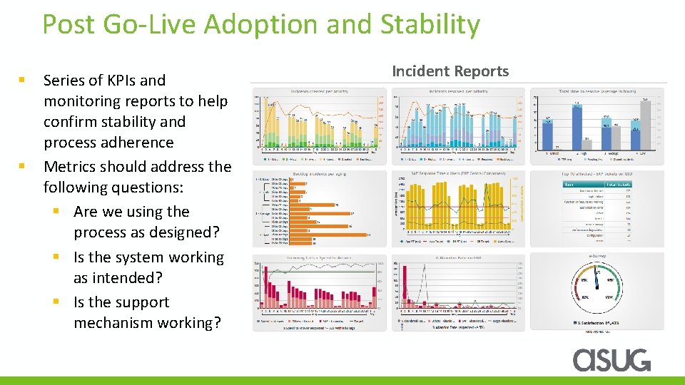 Post Go-Live Adoption and Stability § § Series of KPIs and monitoring reports to