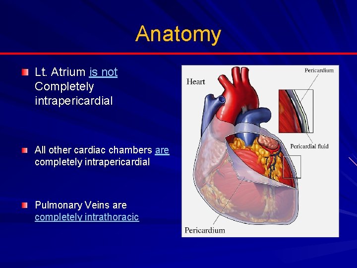 Anatomy Lt. Atrium is not Completely intrapericardial All other cardiac chambers are completely intrapericardial