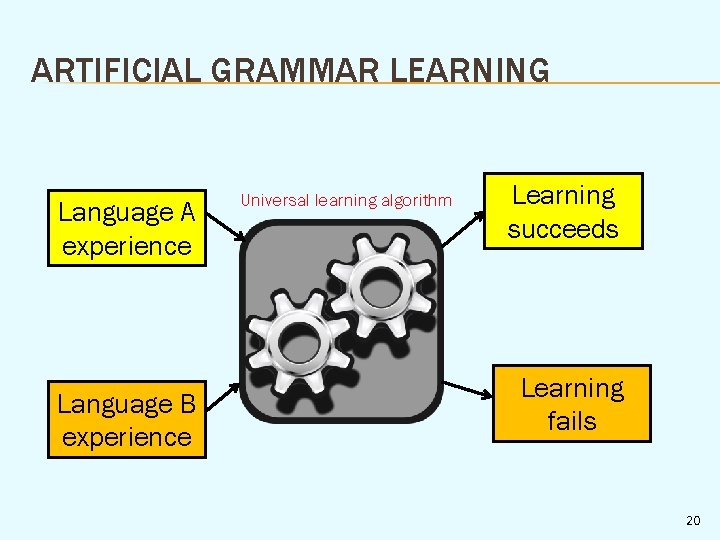 ARTIFICIAL GRAMMAR LEARNING Language A experience Language B experience Universal learning algorithm Learning succeeds