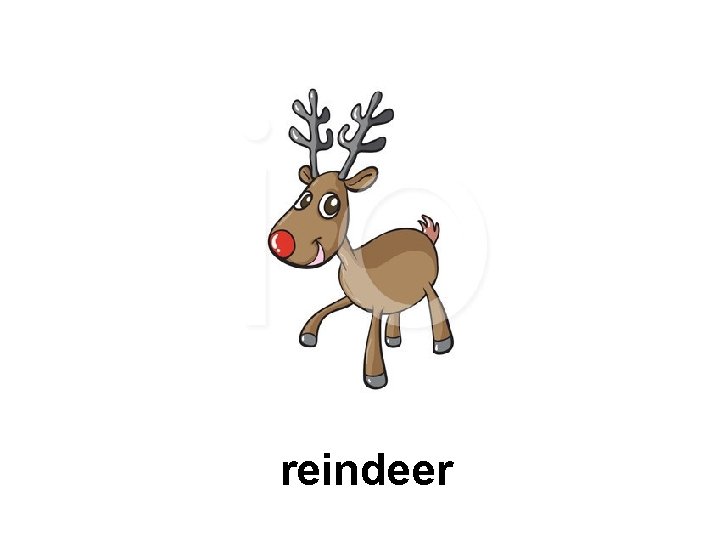 reindeer 