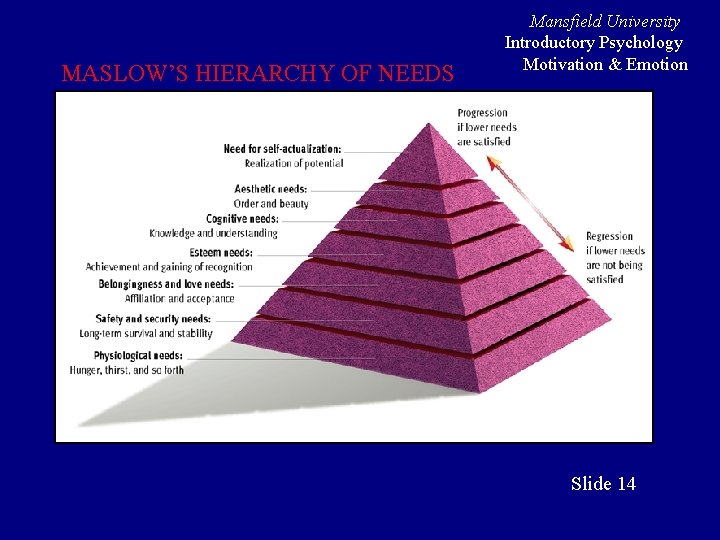 MASLOW’S HIERARCHY OF NEEDS Mansfield University Introductory Psychology Motivation & Emotion Slide 14 