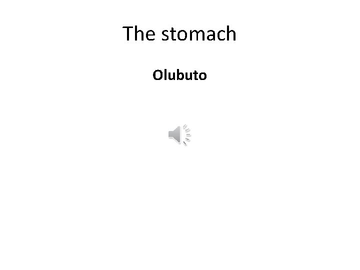 The stomach Olubuto 