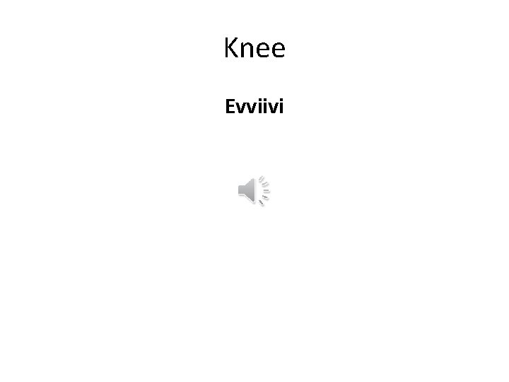 Knee Evviivi 