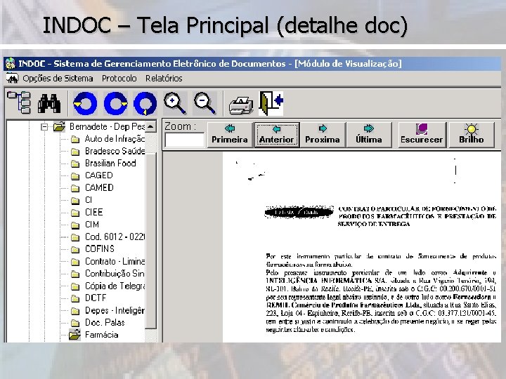 INDOC – Tela Principal (detalhe doc) 