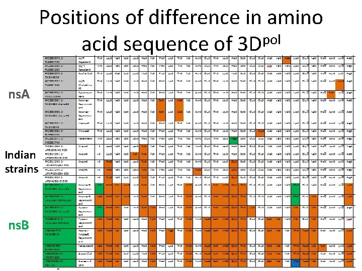 Positions of difference in amino pol acid sequence of 3 D ns. A Indian