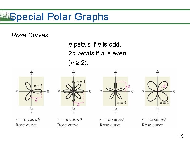 Special Polar Graphs Rose Curves n petals if n is odd, 2 n petals