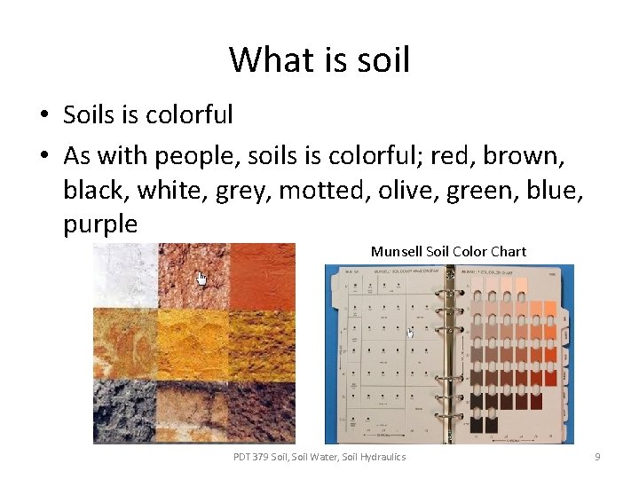 What is soil • Soils is colorful • As with people, soils is colorful;